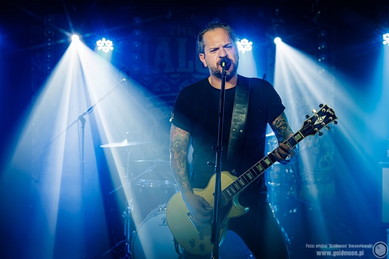 2025-11-09-The-Analogs