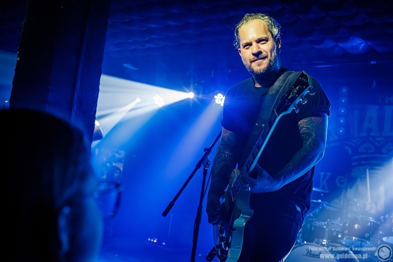 2025-11-09-The-Analogs