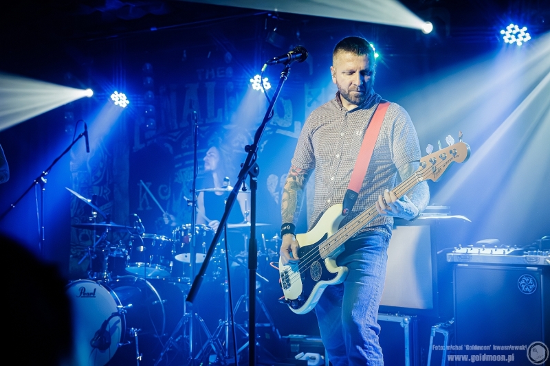 2025-11-09-The-Analogs