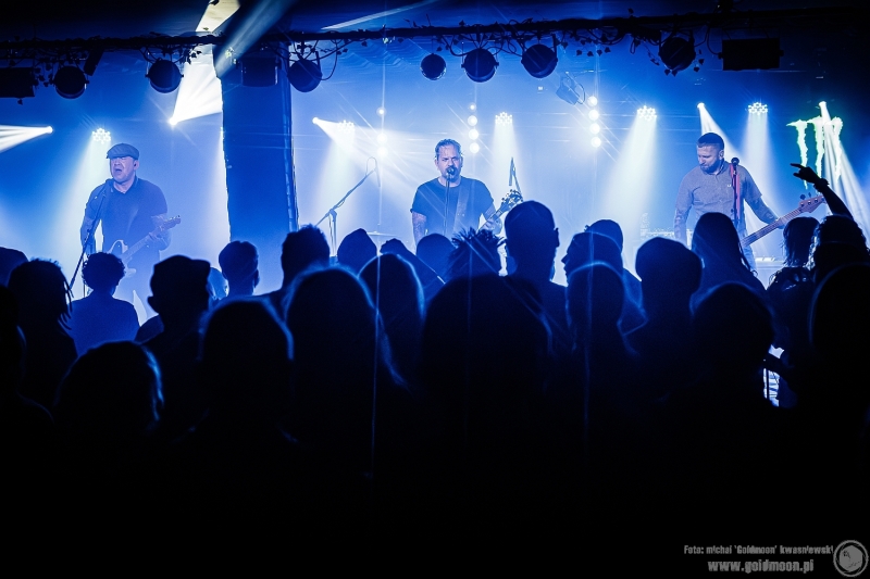 2025-11-09-The-Analogs