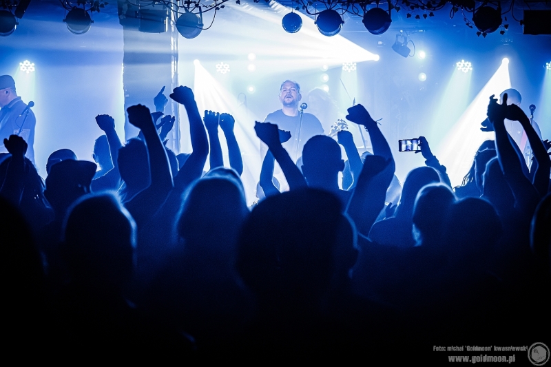 2025-11-09-The-Analogs