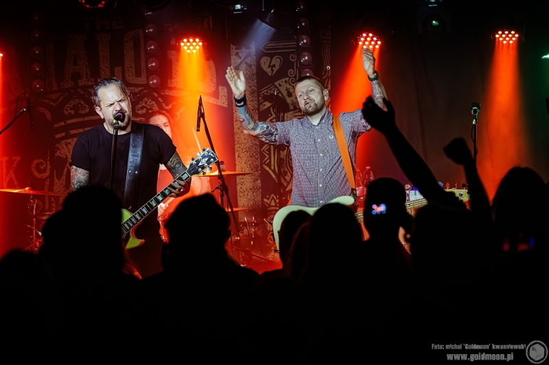 2025-11-09-The-Analogs