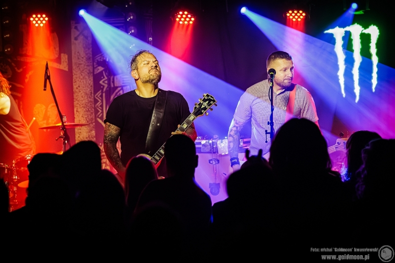 2025-11-09-The-Analogs