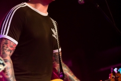 2017-11-25-The-Analogs