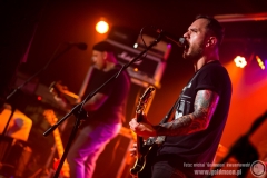 2017-11-25-The-Analogs