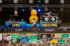 2018.08.02 - 24 Pol'and'Rock - Alestorm