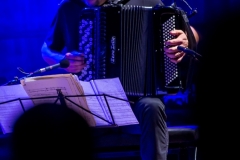 2018.12.05 - Al Di Meola