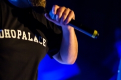 2019.02.22 - Małpa