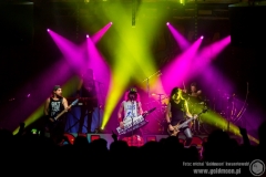2019.02.27 - Alestorm