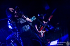 2019.03.07 - Panzerflower