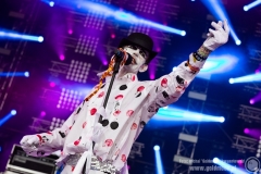 2019.08.01 - 25 Pol'and'Rock - The Adicts