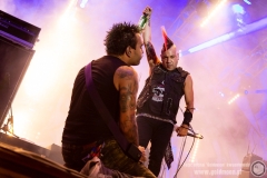 2019.08.01 - 25 Pol'and'Rock - The Casualties