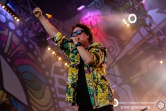 2019.08.02 - 25 Pol'and'Rock - Sidney Polak