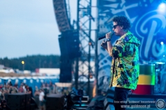 2019.08.02 - 25 Pol'and'Rock - Sidney Polak