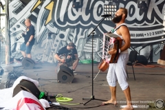 2019.08.03 - 25 Pol'and'Rock - Witek Muzyk Ulicy