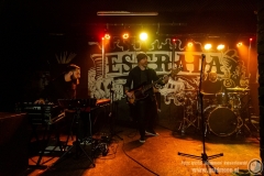 2019.12.13 - Tribute to Maanam Show