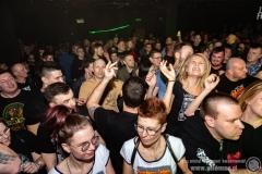 2020.03.07 - Punky Reggae Live 2020 - The Analogs