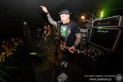 2020.03.07 - Punky Reggae Live 2020 - The Analogs