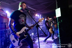 2020.03.07 - Punky Reggae Live 2020 - The Analogs