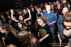 2020.03.07 - Punky Reggae Live 2020 - The Analogs
