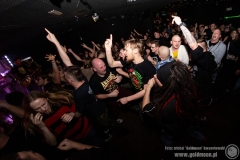 2020.03.07 - Punky Reggae Live 2020 - The Analogs
