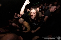 2020.03.07 - Punky Reggae Live 2020 - The Analogs