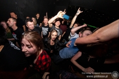 2020.03.07 - Punky Reggae Live 2020 - The Analogs