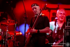 2020.07.30 - 26 Pol'and'Rock - Najpiękniejsza Domówka Świata - Elektryczne Gitary