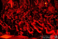 2020.07.30 - 26 Pol'and'Rock - Najpiękniejsza Domówka Świata - Elektryczne Gitary