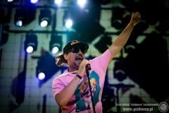 2020.08.01 - 26 Pol'and'Rock - Najpiękniejsza Domówka Świata - Ja Mmm Chyba Ściebie