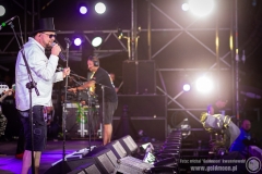 2021.07.30 - Pol'and'Rock - Pidżama Porno