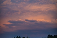 2021.07.25 - Pol'and'Rock