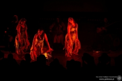 2022.05.08 - Percival - Wild Hunt Live