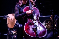 2022.12.03 - Muzyka zespołu Metallica symfonicznie - Scream Inc.