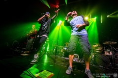 2023.04.02 - Flapjack