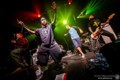 2023.04.02 - Flapjack