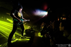 2023.11.18 - The Analogs
