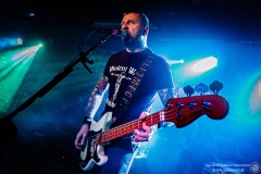 2023.11.18 - The Analogs