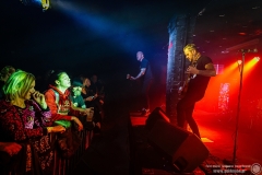 2023.11.18 - The Analogs