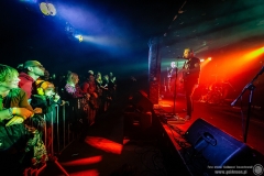 2023.11.18 - The Analogs