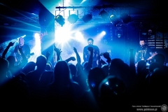 2023.11.18 - The Analogs