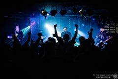 2023.11.18 - The Analogs