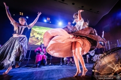 2023.11.21 - Percival - Wild Hunt Live