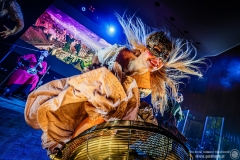 2023.11.21 - Percival - Wild Hunt Live