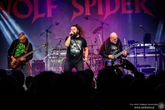 2023.12.29 - Metalowe Zakończenie Roku 2023 - Wolf Spider