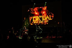 2024.11.21 - Percival - Wild Hunt Live