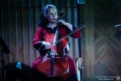 2024.11.21 - Percival - Wild Hunt Live