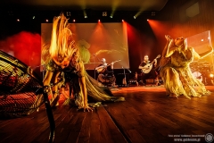 2024.11.21 - Percival - Wild Hunt Live