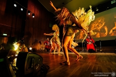 2024.11.21 - Percival - Wild Hunt Live