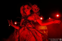 2024.11.21 - Percival - Wild Hunt Live